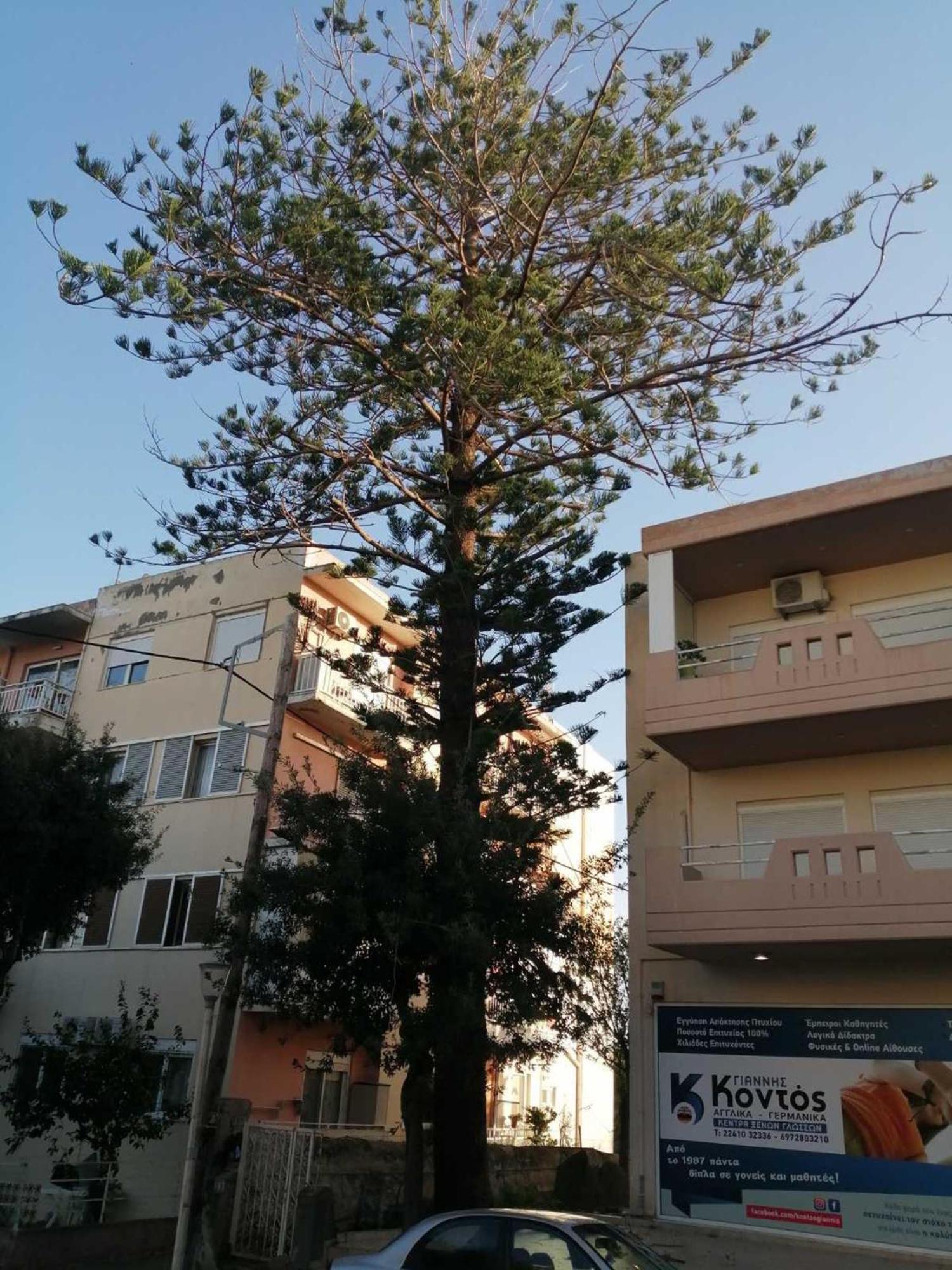 Apartment 29 Rhodes City Kültér fotó